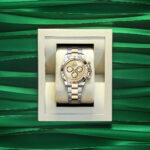 Rolex Cosmograph Daytona 40mm, Oystersteel and 18k Yellow Gold, Ref# 126503-0004 - Image 3