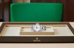 Rolex Explorer II Oyster, 42 mm, Oystersteel m216570-0001 - Image 10