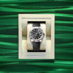 Rolex Sky-Dweller, 42mm, 18k White Gold, Ref# 336239-0002 - Image 5