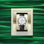 Rolex Sky-Dweller, 42mm, 18k White Gold, Ref# 336239-0003 - Image 4