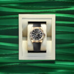 Rolex Sky-Dweller, 42mm, 18k Yellow Gold, Ref# 336238-0002 - Image 4
