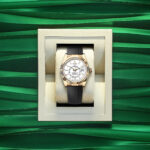 Rolex Sky-Dweller, 42mm, 18k Yellow Gold, Ref# 336238-0003 - Image 4
