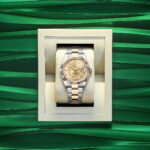 Rolex Sky-Dweller, 42mm, Oystersteel and 18k Yellow Gold, Champagne, Oyster, Ref# 336933-0001 - Image 4