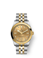 Tudor Black Bay 31 S&G, 316L Stainless Steel and 18k Yellow Gold, Ref# M79603-0008