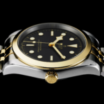 Tudor Black Bay 39 S&G, 316L Stainless Steel and 18k Yellow Gold, Ref# M79663-0001 - Image 5