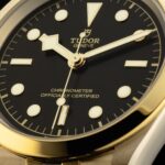 Tudor Black Bay 41 S&G, Stainless Steel and 18k Yellow Gold, Ref# M79683-0001 - Image 5