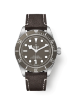 Tudor Black Bay Fifty-Eight 925, 39mm, 925 Silver, Ref# M79010SG-0001