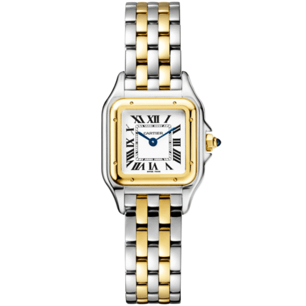 PanthÃ¨re de Cartier Small 18ct Yellow Gold & Steel Watch